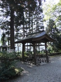 Enlarge photo 52