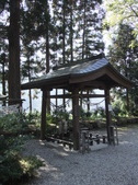 Enlarge photo 53