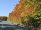 Enlarge photo 57