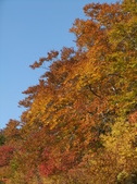 Enlarge photo 58