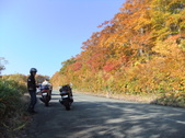 Enlarge photo 59
