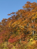 Enlarge photo 61