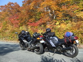 Enlarge photo 62