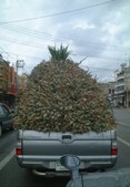 Enlarge photo 37