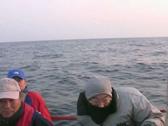 Enlarge WMV 28