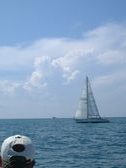 Enlarge photo 50