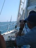 Enlarge photo 52