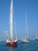 Enlarge photo 77