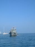 Enlarge photo 83