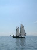 Enlarge photo 87