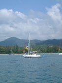 Enlarge photo 96