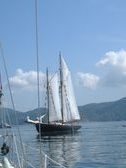 Enlarge photo 122