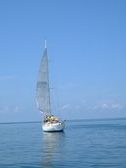 Enlarge photo 125