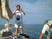 Enlarge photo 42
