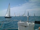 Enlarge photo 45