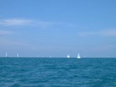 Enlarge photo 55