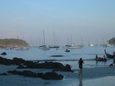 Enlarge photo 67