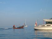Enlarge photo 116