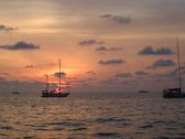 Enlarge photo 128