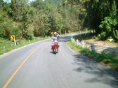 Enlarge photo 141