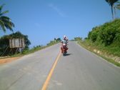 Enlarge photo 143