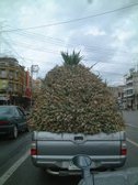 Enlarge photo 2