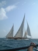 Enlarge photo 95