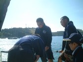 Enlarge photo 30