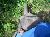 Enlarge photo 2