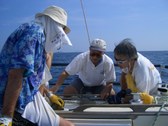 Enlarge photo 49