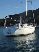 Enlarge photo 62