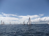 Enlarge photo 65