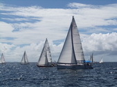 Enlarge photo 66