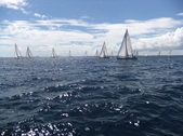 Enlarge photo 67