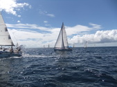 Enlarge photo 69