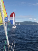 Enlarge photo 71