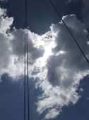 Enlarge photo 73