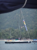 Enlarge photo 81