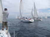 Enlarge photo 113