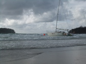 Enlarge photo 135