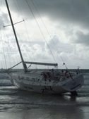 Enlarge photo 147