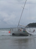 Enlarge photo 206