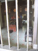 Enlarge photo 261
