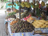 Enlarge photo 269