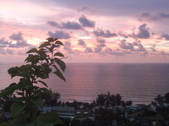 Enlarge photo 283