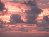 Enlarge photo 285