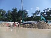 Enlarge photo 312