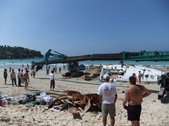 Enlarge photo 322
