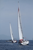 Enlarge photo 145