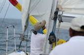 Enlarge photo 152